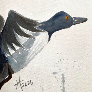 Ring Necked Duck in Flight Art Original Watercolor Painting 11x14in Matted